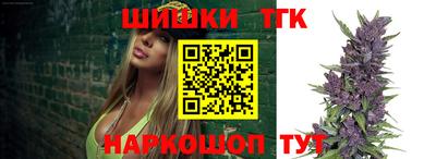 крисы Лесосибирск