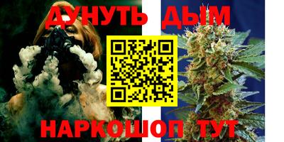 крисы Лесосибирск