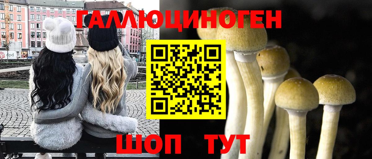 Галлюциногенные грибы Magic Shrooms  сколько стоит  Беслан  Вход с VPN 